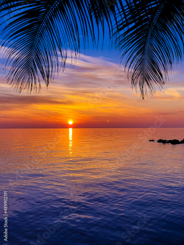 Fototapeta Naklejka Na Ścianę i Meble -  Nice sunset. Dark palm trees silhouettes on colorful tropical ocean sunset background