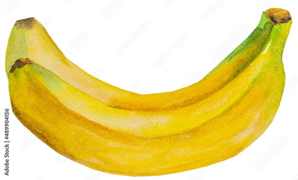 2 Watercolor yellow ripe bananas. Whole tropical fruit illustration