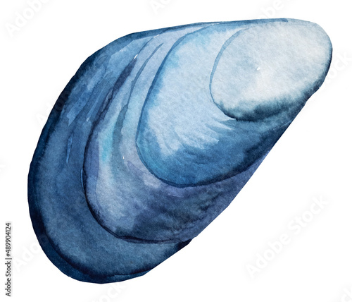 Hand drawn Watercolor blue mussel seashell Illustration