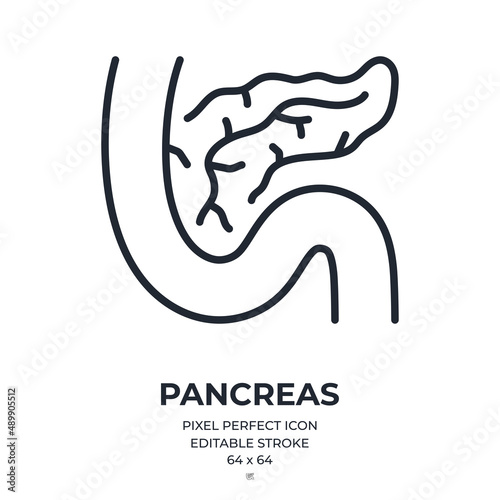 Pancreas editable stroke outline icon isolated on white background flat vector illustration. Pixel perfect. 64 x 64.