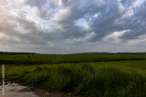 Rain and storm clouds darken the sky over a country lane near Bergheim