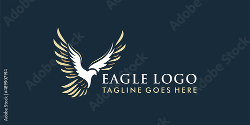 Flying Eagle Logo Design Vector, Creative design, Template, illustration