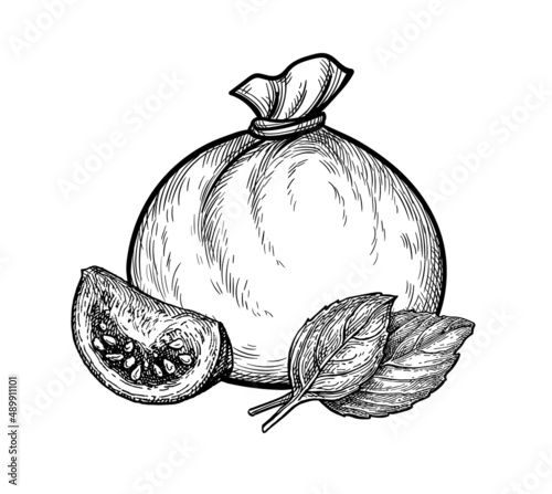 Burrata cheese ink sketch.