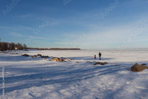 Winter landscapes of Petrodvorets Park