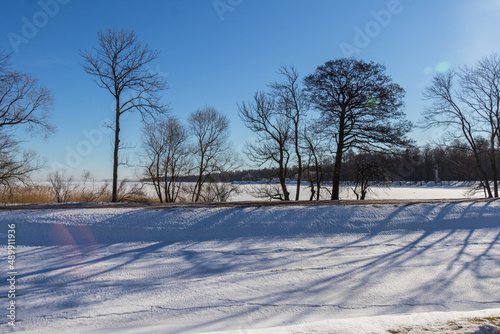 Winter landscapes of Petrodvorets Park