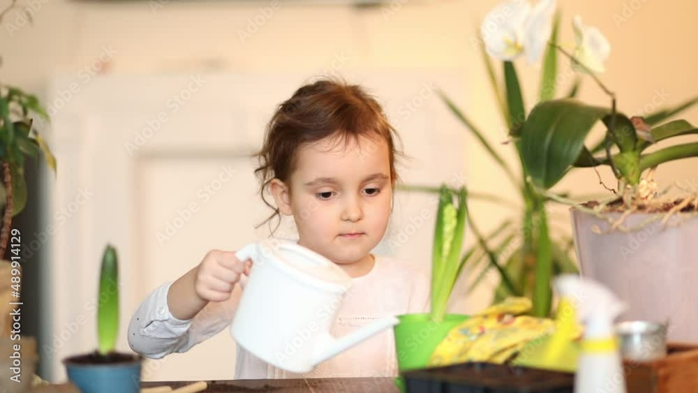 Home gardening. Little kid girl helping to care for home plants, green environment at home Home gardening. Little kid girl helping to care for home plants, green environment at home
