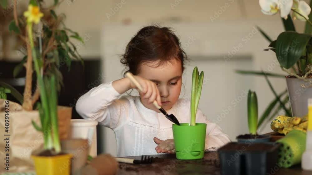 Home gardening. Little kid girl helping to care for home plants, green environment at home Home gardening. Little kid girl helping to care for home plants, green environment at home