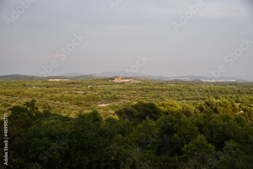 Landscape
