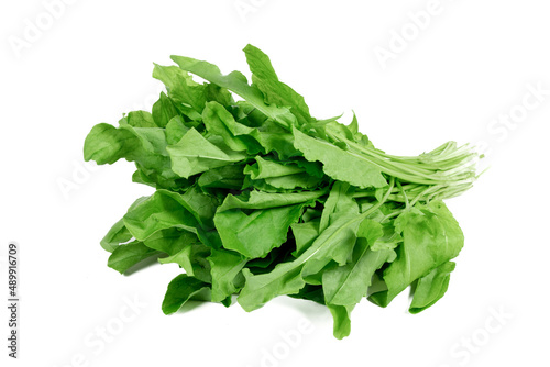 new harvest green bunch sorrel on a white background photo