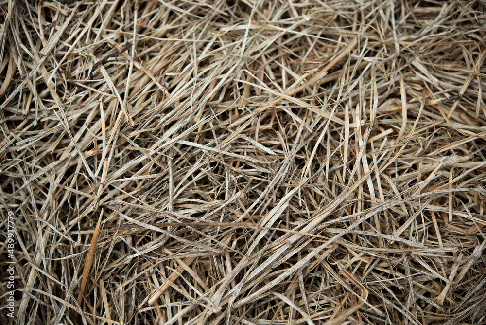 Textured dead grass patterns laying on a heap after being cut