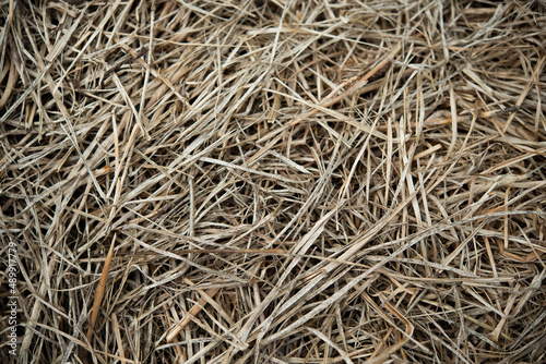 Textured dead grass patterns laying on a heap after being cut