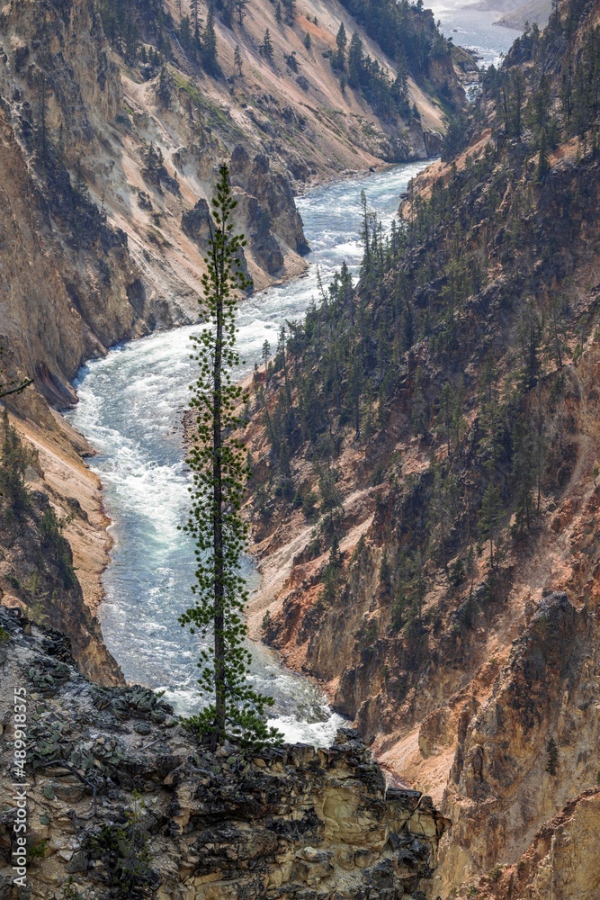 The Yellowstone River in Yellowstone National Park, WY.