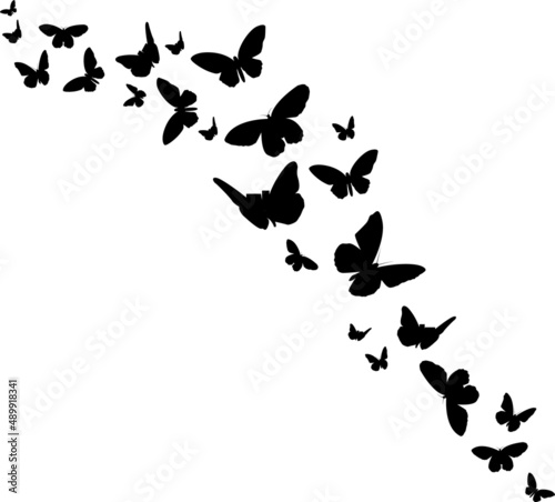 Fluttering Butterflies Illustrations Fluttering Butterflies SVG EPS PNG