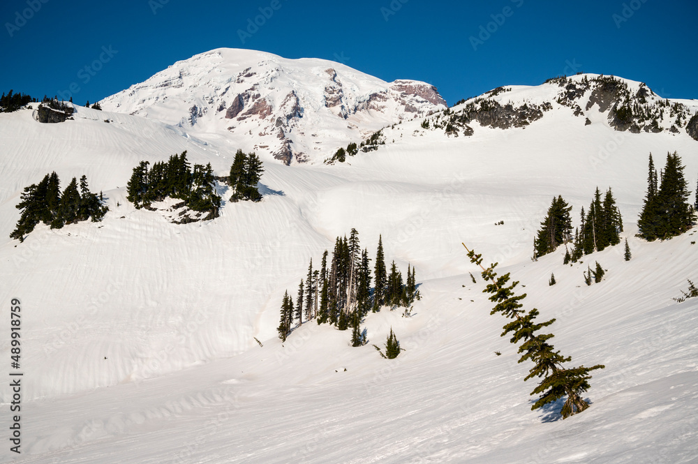 Mount Rainier National Park Covered in Snow During Winter