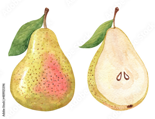 Watercolor pear set isolated on white. Half and whole fruit hand drawn illustration