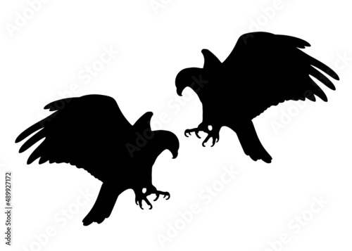 Large eagles soaring in the sky. Vector image.