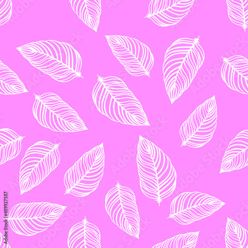 seamless pattern of white feathers on pink background