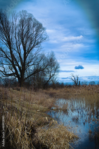 morning over spilled meadows photo