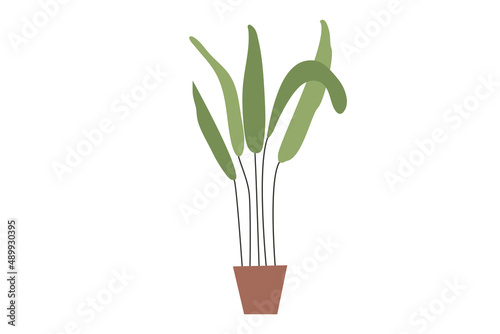 Minimalistic flower  in a pot. House plant with outstretched leaves in trendy colors. Vector illustration in flat cartoon style isolated on white background