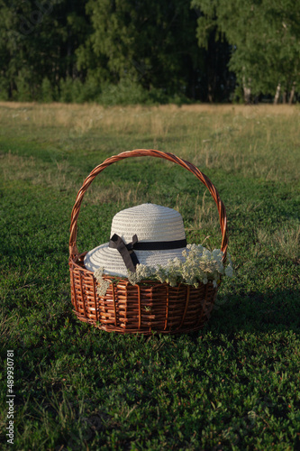 Basket, hat, field.