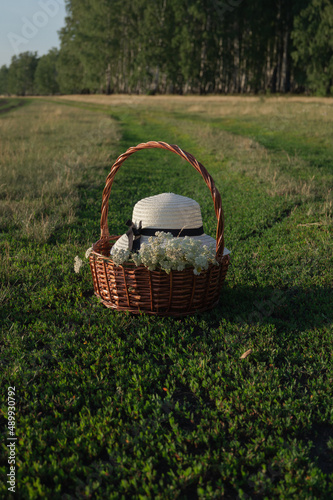 Basket, hat, field.
