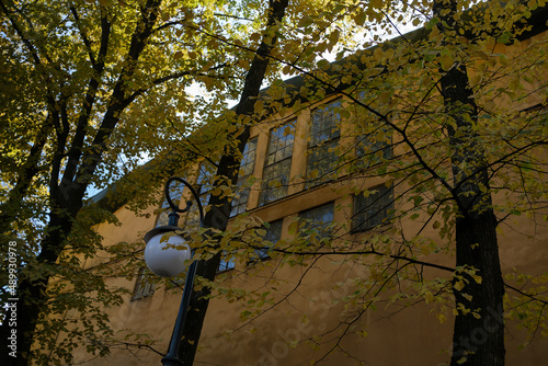 Trees and a house