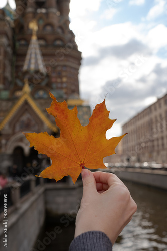 Maple leaf on the background of the city.