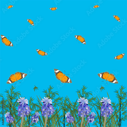 butterflies above grass and lilac flowers on blue