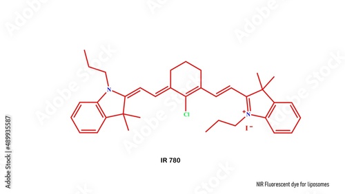 IR 780 is a heptamethine cyanine fluorescent probe for in vivo imaging of tumor cells. It displays excitation and emission maxima of 780 and 799 nm, respectively. photo