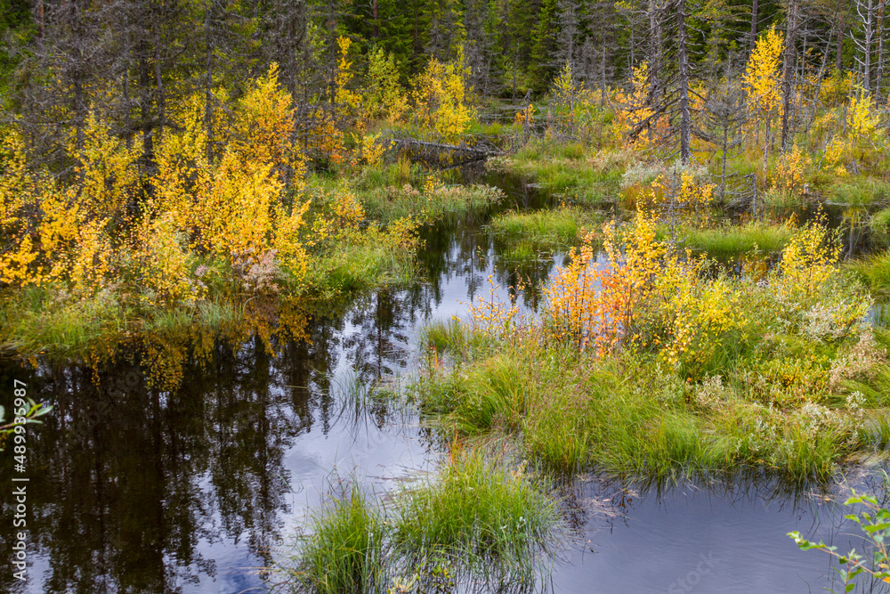 Fototapeta premium Typisch skandinawische Seen-und Moorlandschaft