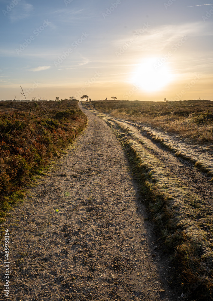 Sunrise on a wintry Canford Heath Sunrise on a wintry Canford Heath