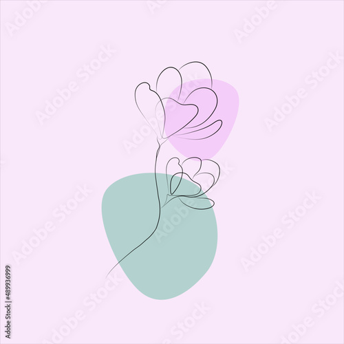 pink flower on a pink background