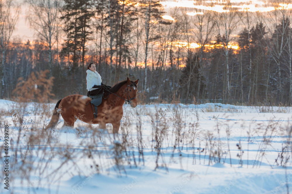 A girl in a white cloak rides a brown horse in winter. A girl in a white cloak rides a brown horse in winter.