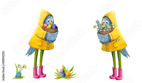 Watercolor funny chicken characters with eggs and narcissus in a yellow raincoat and rain boots. Cute Easter holidays set with birds on white background.