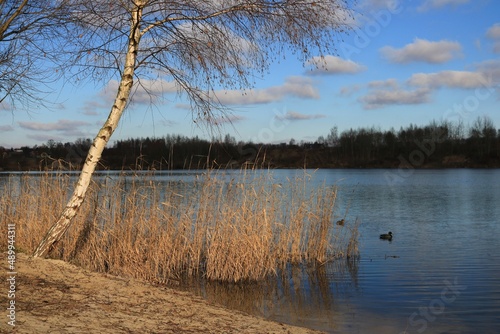Fototapeta Naklejka Na Ścianę i Meble -  Nad jeziorem