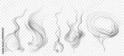 Set of several realistic transparent gray smokes or steam, for use on light background. Transparency only in vector format