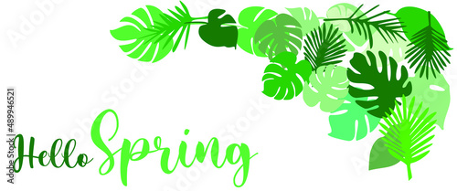 Abstract fresh leaves and the text Hello Spring on an isolated white background