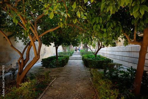 Garden of passage to the University of Granada.