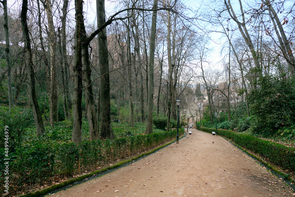 Obraz premium A walk through the gardens of the Alhambra.