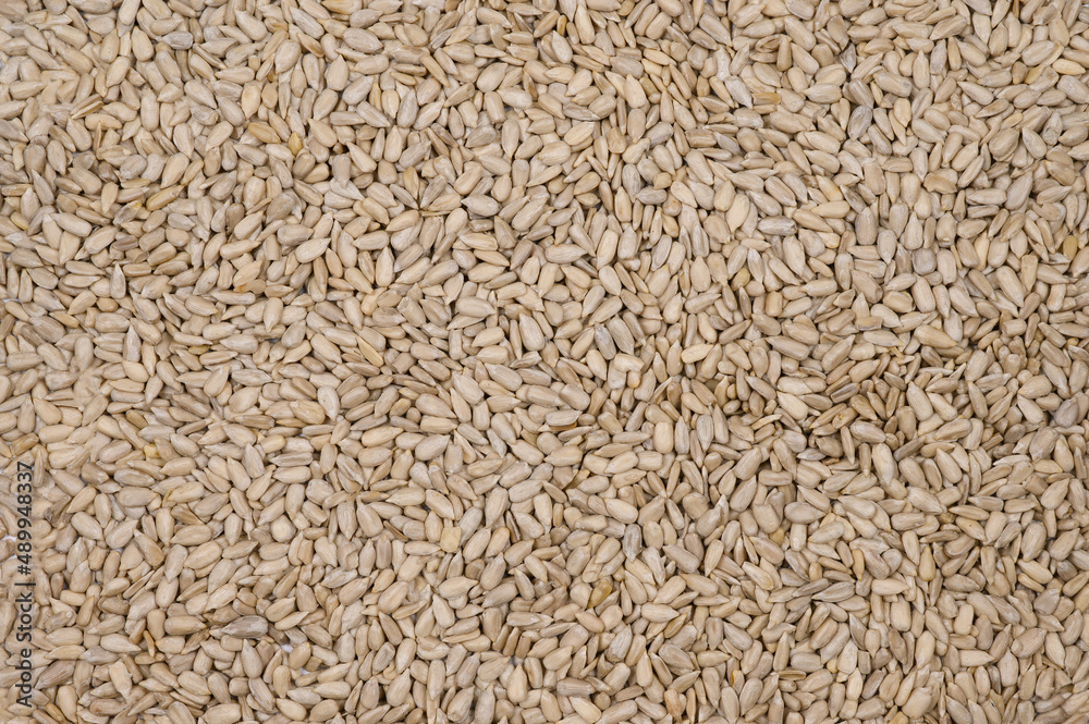 A pattern of peeled sunflower seeds.Background of sunflower seeds A pattern of peeled sunflower seeds.Background of sunflower seeds