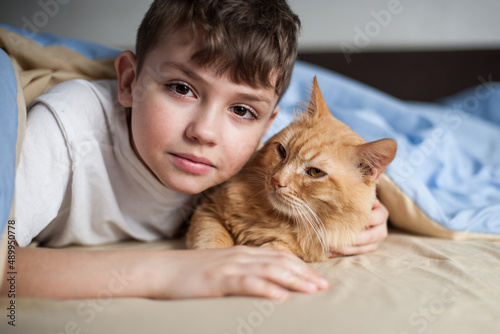 a hand strokes a red-haired cat that lies on a yellow-blue bed linen