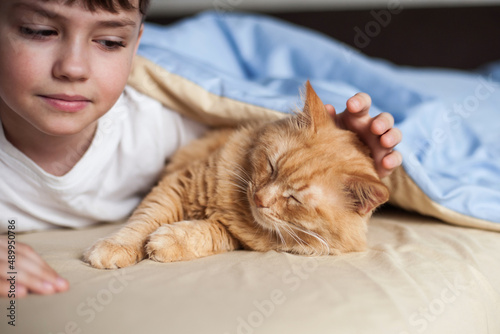 a hand strokes a red-haired cat that lies on a yellow-blue bed linen