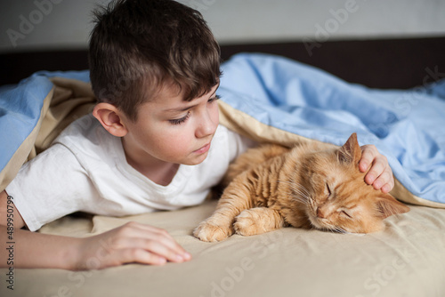 little child playing with a cat