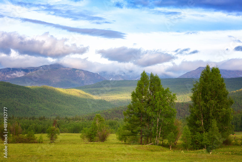 Summer landscape with trees and mountains. Eastern Sayans, Buryatia, Russia