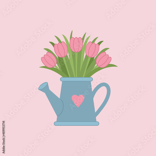 Illustration of the pink tulips in the blue flower watering can on a pastel pink background. Creative spring illustration for cards and wallpapers. 