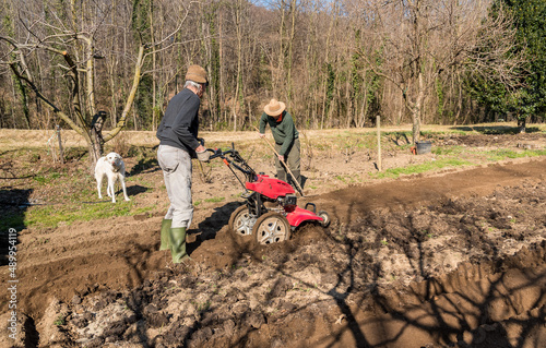 Принти на полотні Two elderly men tilling ground soil with a rototiller in the garden