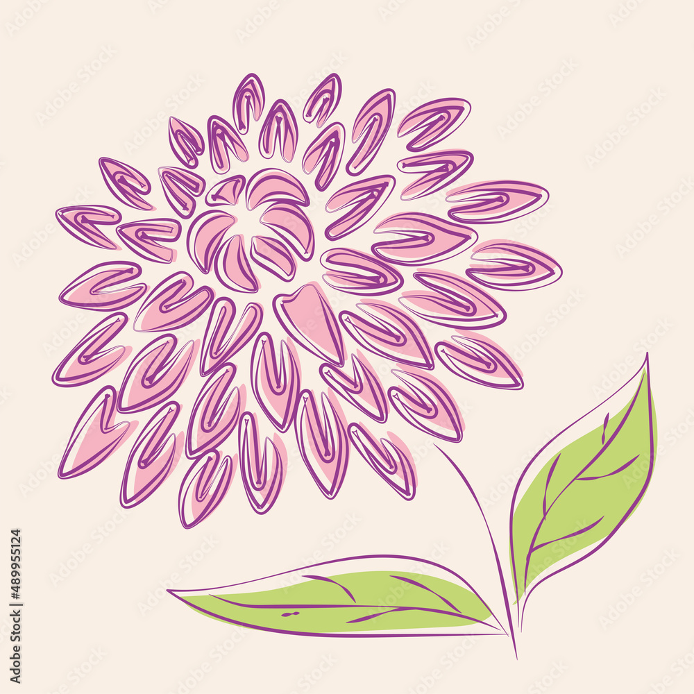 Contour drawing of single abstract decorative chrysanthemum flower Contour drawing of single abstract decorative chrysanthemum flower