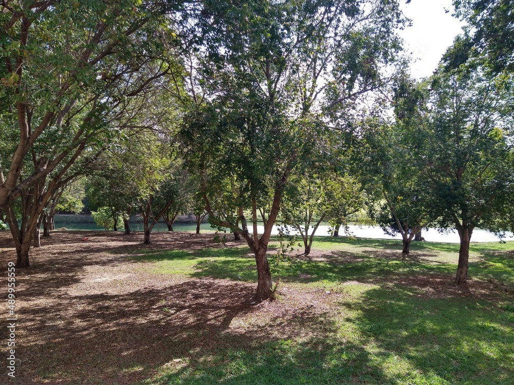 Fototapeta premium Natureza em Indaiatuba