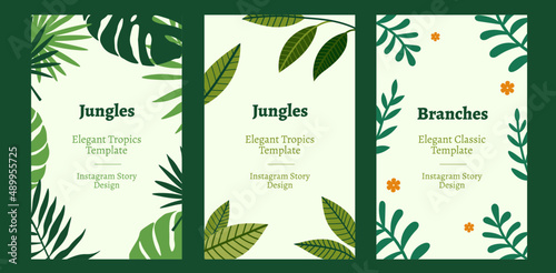 Instagram Story Tropical vector Template. Frame of Leaves on white background. Layouts for social media stories.