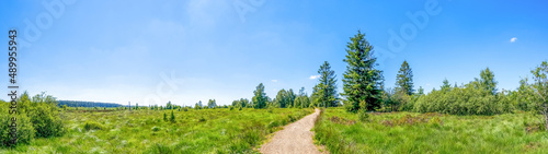 Hohes Venn, Malmedy, Belgien 